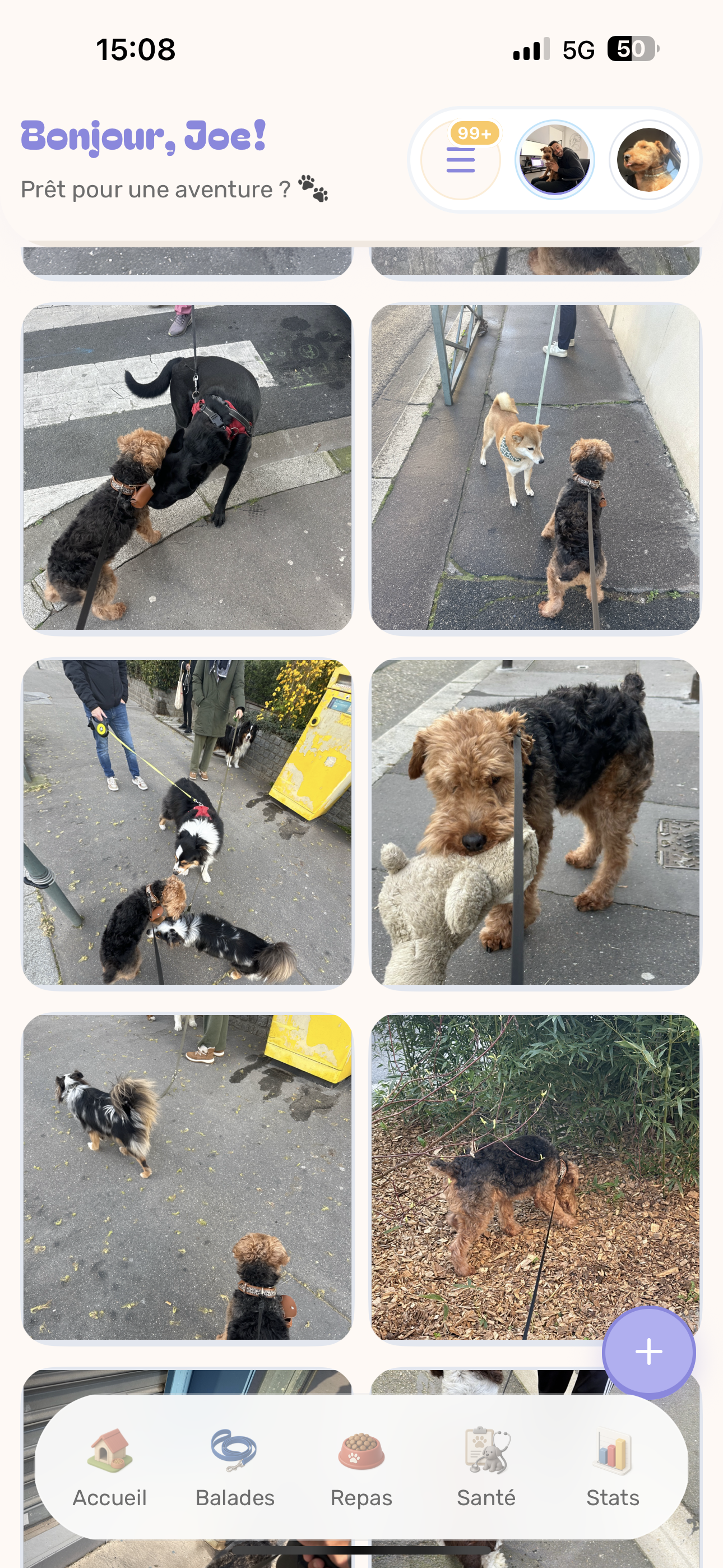 Souvenirs et journal du chien dans ToutouStory