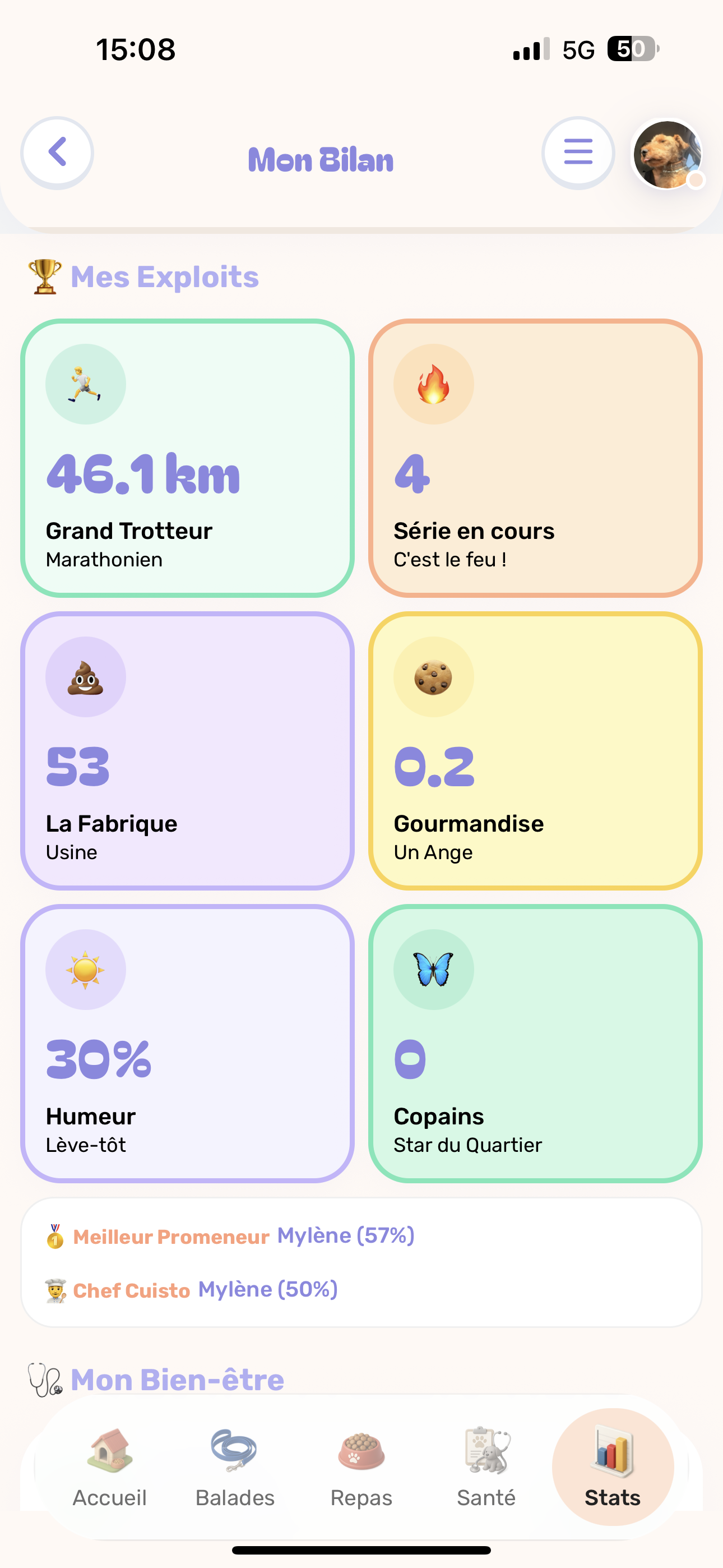 Statistiques chien